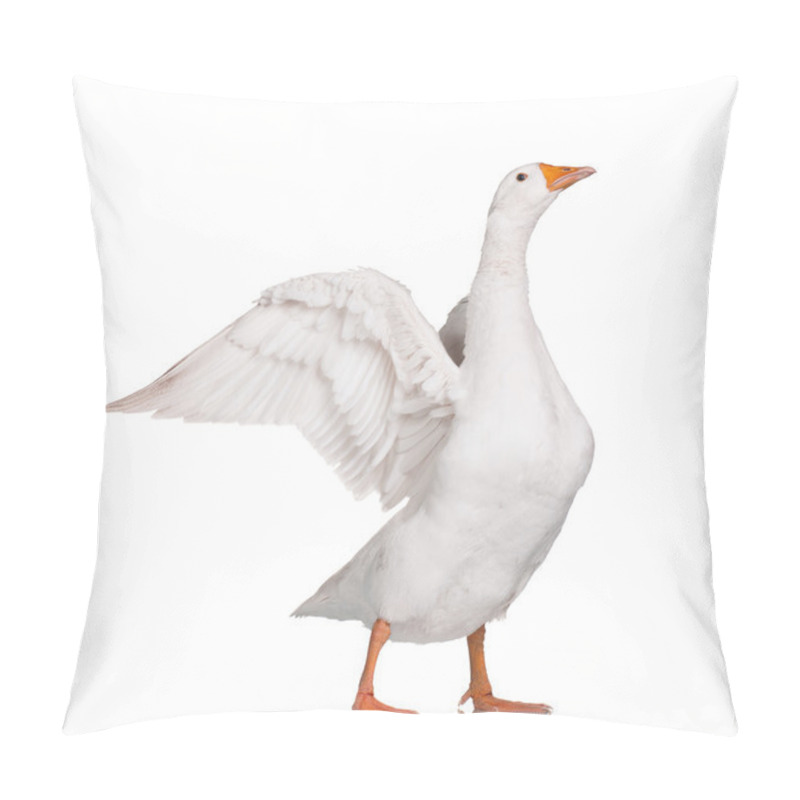 Personality  Domestic Goose Pillow Covers