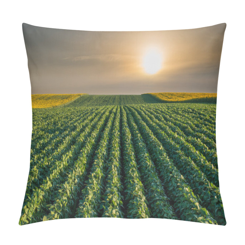 Personality  Soybean Field  Pillow Covers