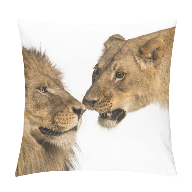 Personality  Close-up Of Lion And Lioness, Panthera Leo, Isolated On White Pillow Covers