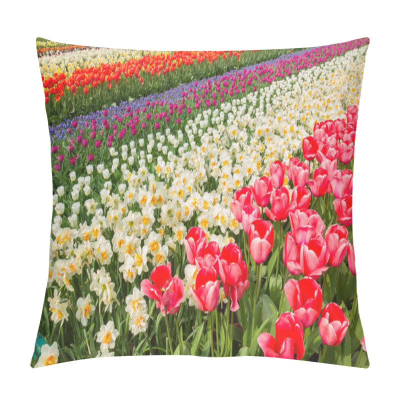 Personality  Holland Tulips And Daffodils Field Pillow Covers