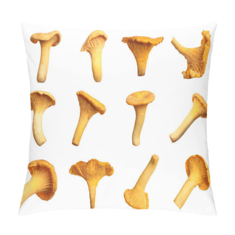 Personality  Set Of Fresh Chanterelle Mushrooms On White Background Pillow Covers