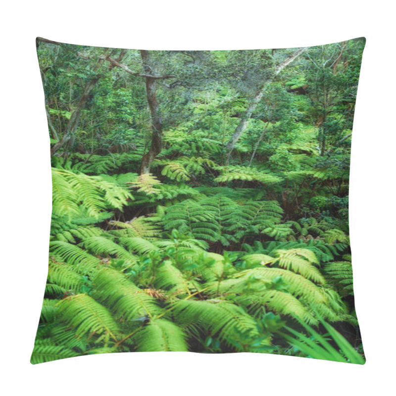 Personality  Variety Of Vibrant Trees And Plants Growing In Undisturbed Nature In Hawaii, USA. Beautiful Broad Leaf Patterns In A Soothing, Calming Forest. Leafy Canopy In Quiet Harmony In A Peaceful Park. Pillow Covers