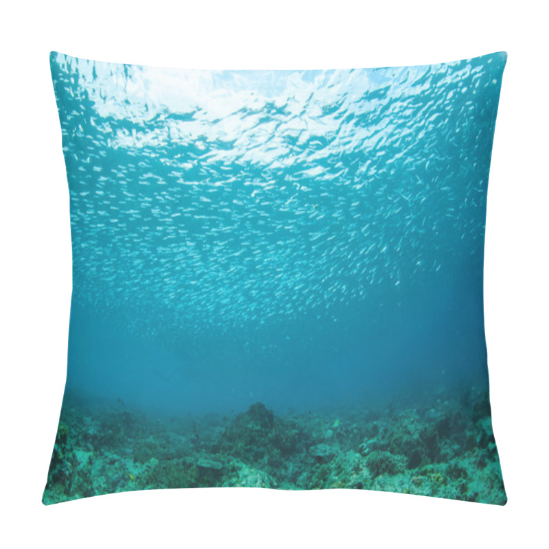 Personality  Schooling Fishes In Gili, Lombok, Nusa Tenggara Barat, Indonesia Underwater Photo Pillow Covers