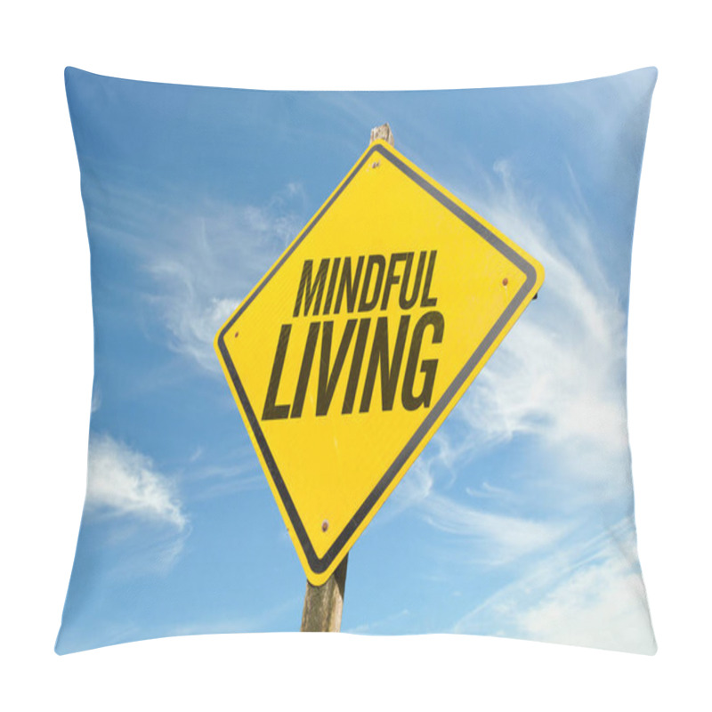 Personality  Mindful Living On A Concept Image Pillow Covers