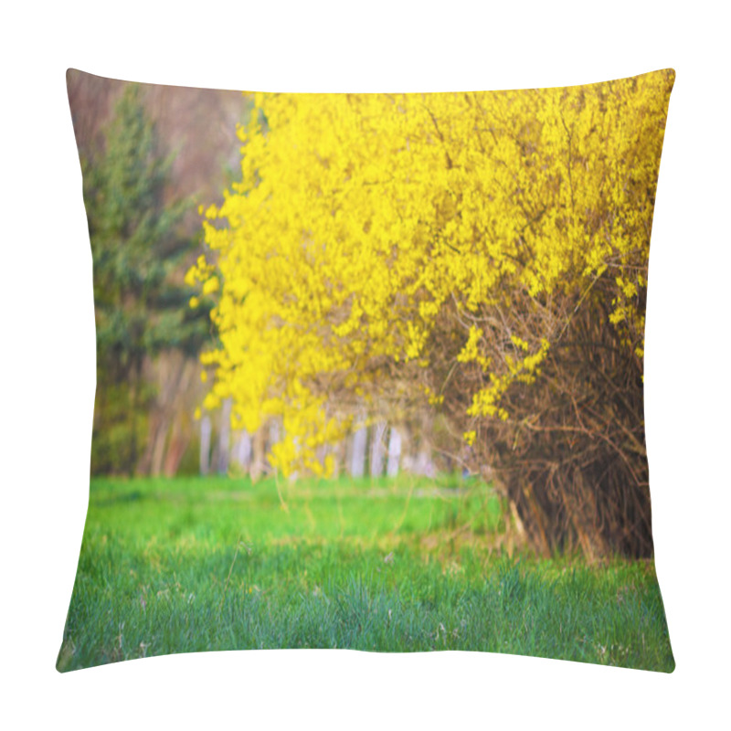 Personality  Yellow Forsythia Bush And Green Grassland In Spring Season Pillow Covers