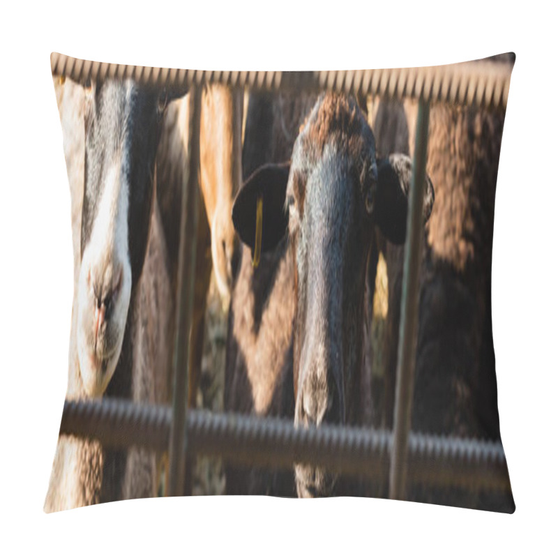 Personality  Herd Of Sheep Behind Metal Fence On Farm, Banner Pillow Covers