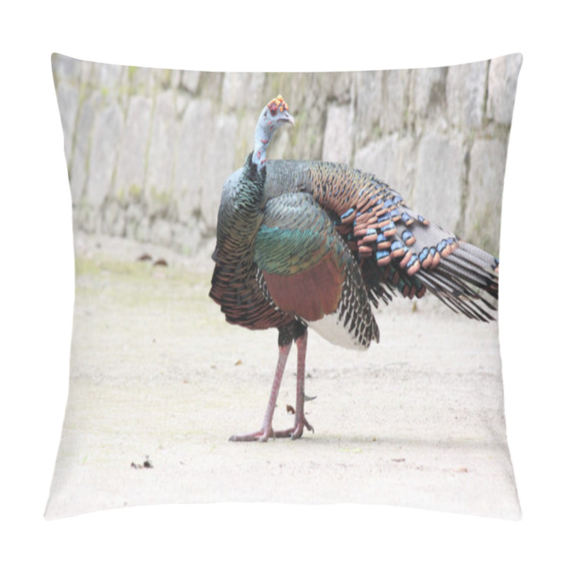 Personality  A Turkey As A Well Known Bird Pillow Covers