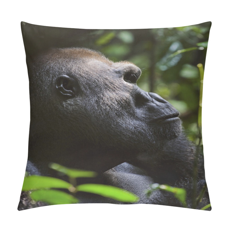 Personality  Western Lowland Gorilla Pillow Covers