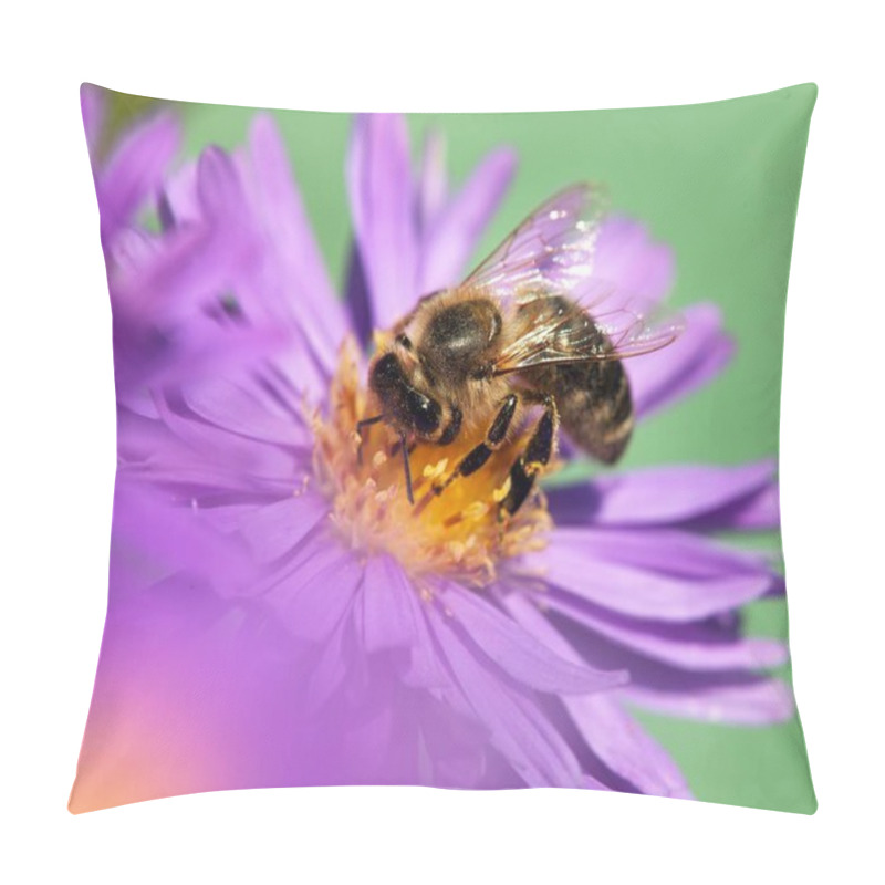 Personality  Honey Bee Sitting On The Violetflower Pillow Covers