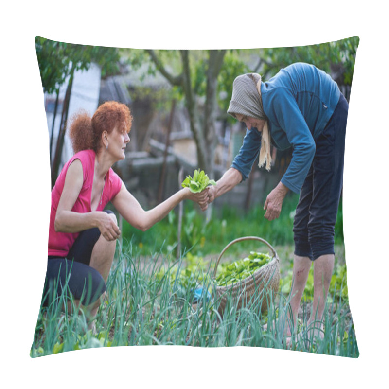 Personality  Woman And Her Elder Mother Harvesting Orache In The Garden Pillow Covers