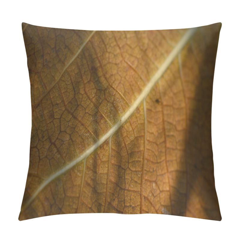 Personality  A Close-up Captures The Detailed Patterns On A Dried Leaf, Showcasing Its Textures Under Gentle Sunlight Amidst Nature. Pillow Covers