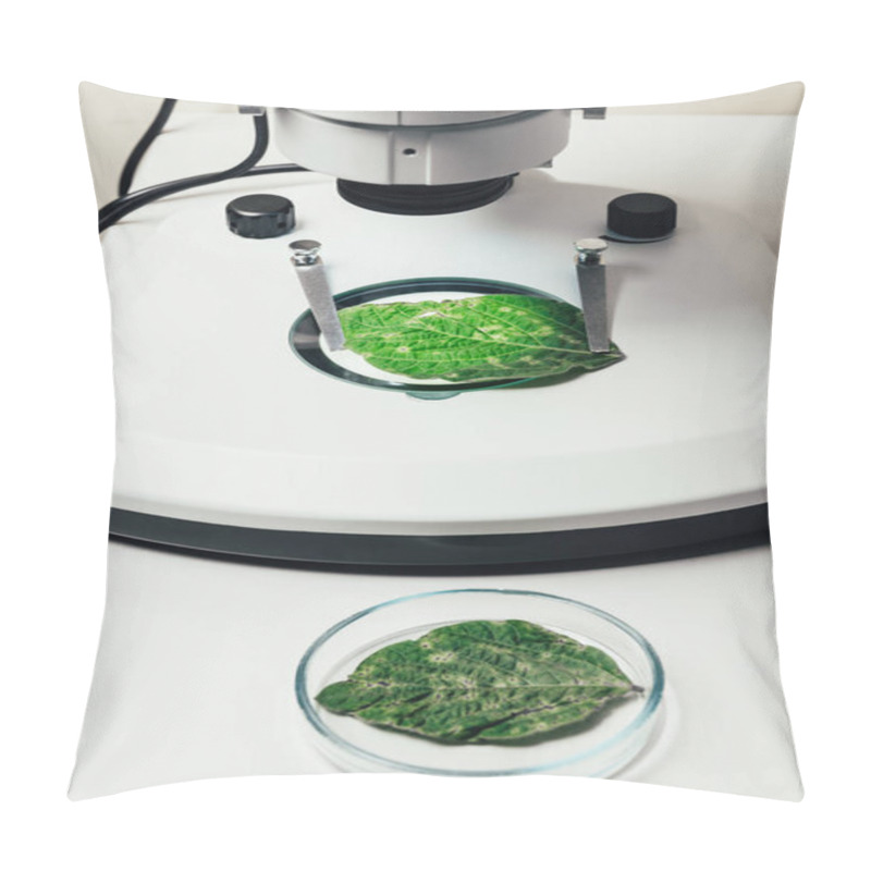 Personality  Close Up View Of Green Leaf Under Microscope In Modern Biotechnology Laboratory  Pillow Covers