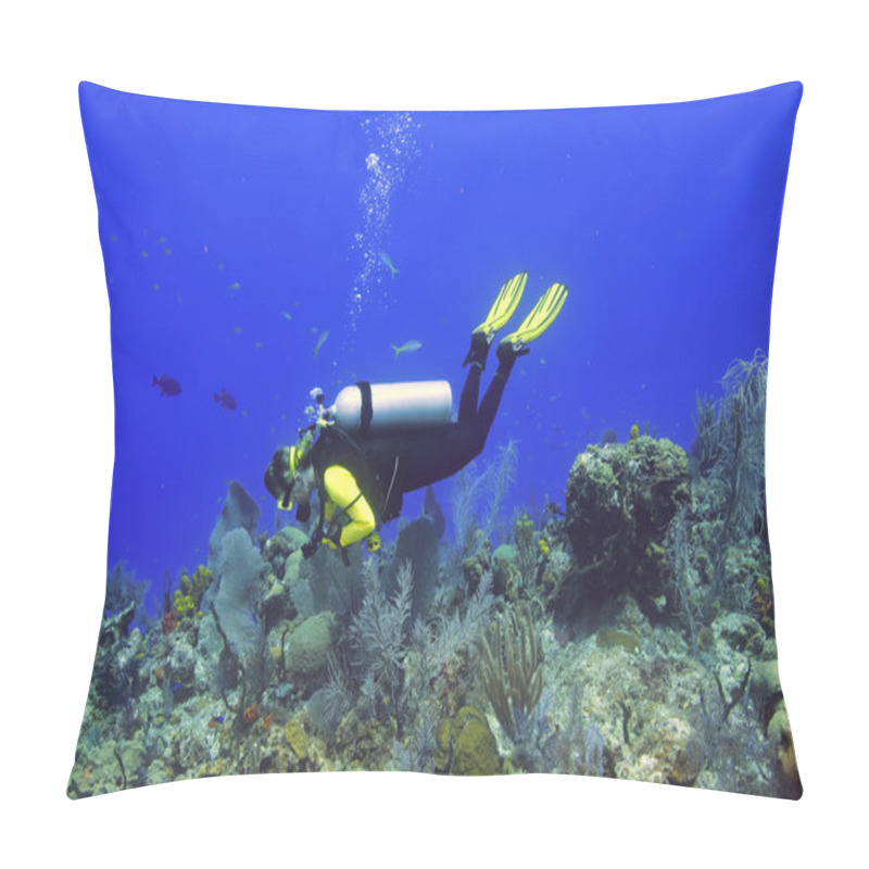 Personality  Exploring The Reef Pillow Covers