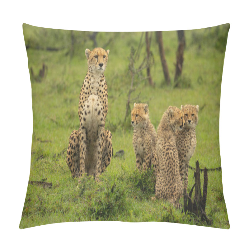 Personality  Cheetah And Three Cubs Sitting On Grass Pillow Covers