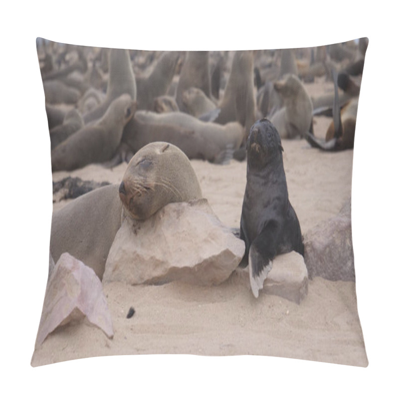 Personality  Mother Sea Lion And Her Pup At Cape Cross Seal Reserve In Namibia Pillow Covers