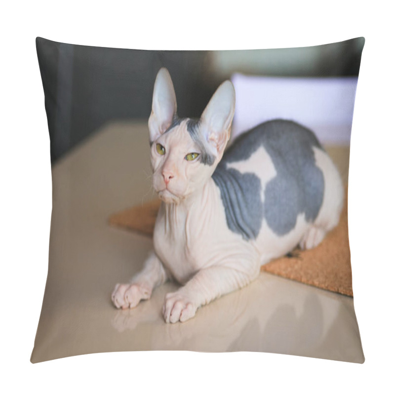 Personality  The Kitten Don Sphynx On The Table Pillow Covers