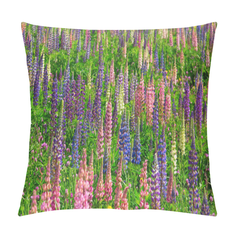 Personality  Lupine Wild Flowers In Swiss Alps Pillow Covers