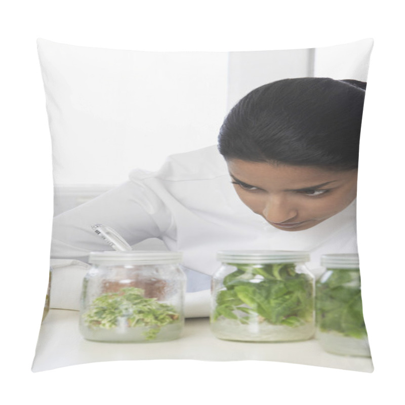 Personality  Lab Worker Studying Jars Of Herbs Pillow Covers