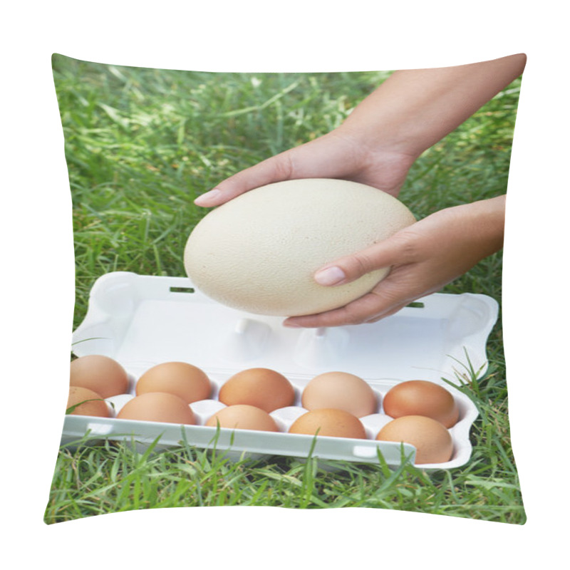 Personality  Pack Of Eggs And Ostrich Egg In Woman Hands Pillow Covers