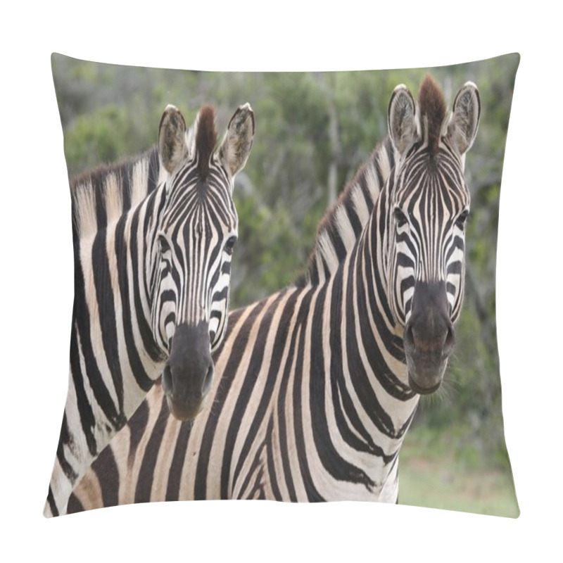 Personality  Zebra Couple Pillow Covers