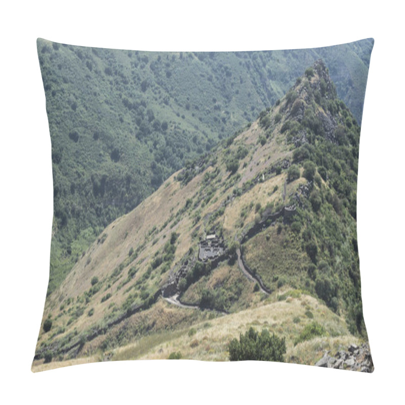 Personality  Gamla Nature Reserve In Israel Pillow Covers