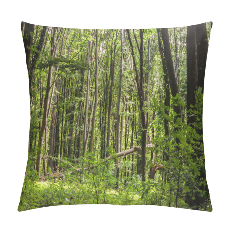 Personality  A Serene Forest Scene In Serbia With A Prominently Torn Tree Trunk In The Middle, Illustrating The Raw Beauty Of Nature. Pillow Covers