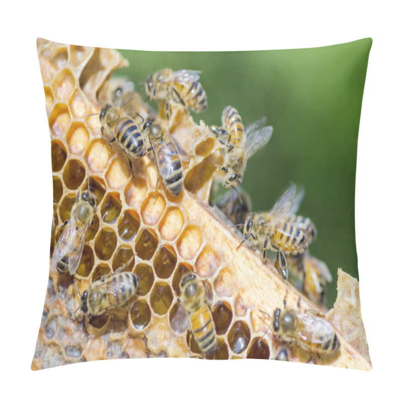 Personality  Bees On Honeycomb In Apiary In The Summertime Pillow Covers