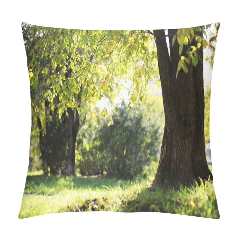 Personality  End Of Summer Season In The Park Pillow Covers