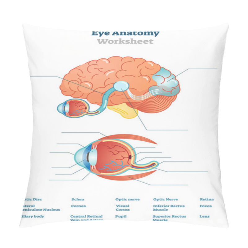 Personality  Eye Anatomy Blank Worksheet, Printable Test Illustrations Pillow Covers