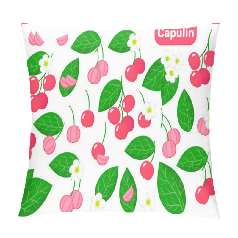 Personality  Set Of Vector Cartoon Illustrations With Whole, Half, Cut Slice Capulin Exotic Fruits, Flowers And Leaves Isolated On White Background Pillow Covers