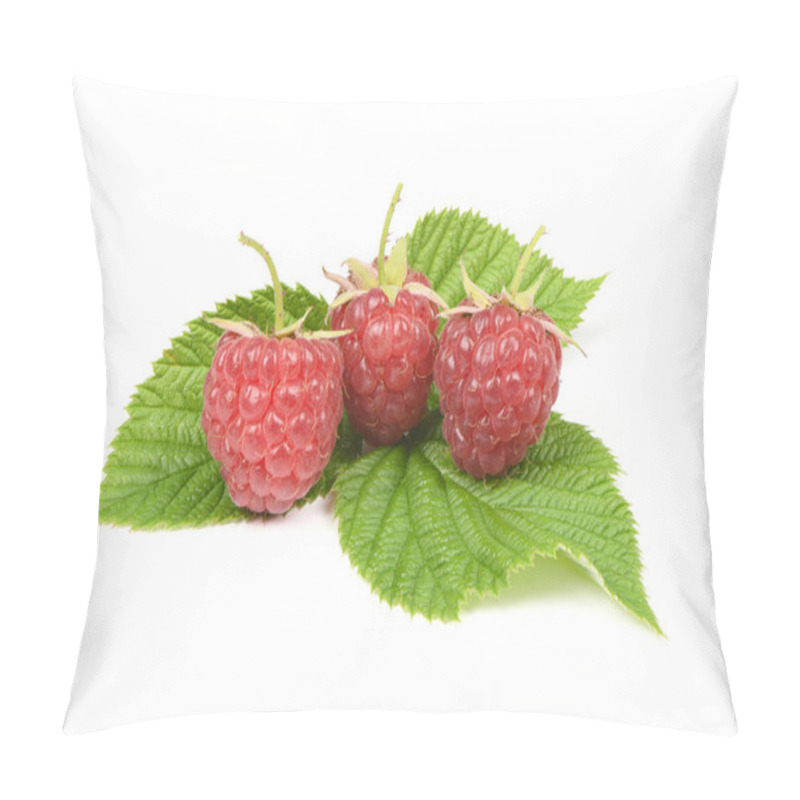 Personality  Raspberry Twig With Leaves Isolated On White Pillow Covers