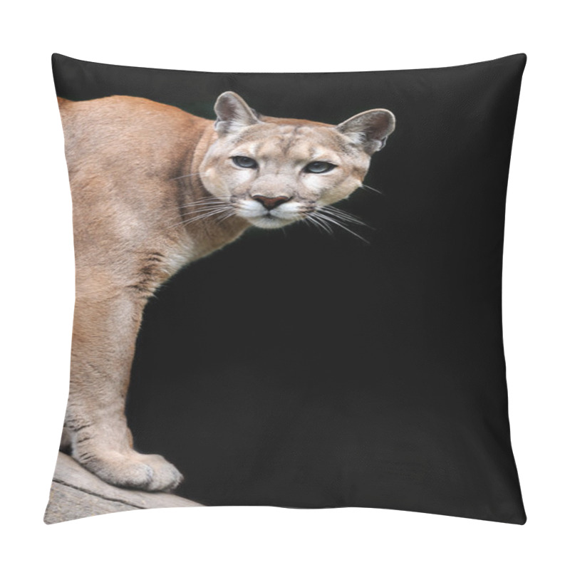 Personality  Puma Pillow Covers