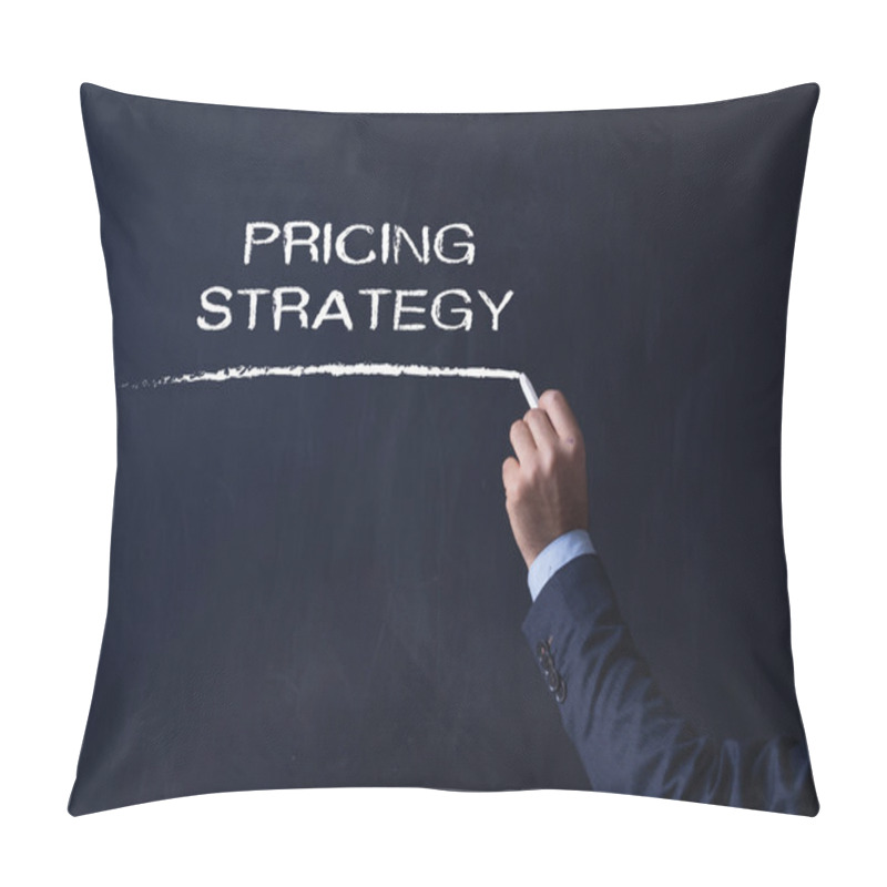 Personality  Businessman Writing On Blackboard Pillow Covers