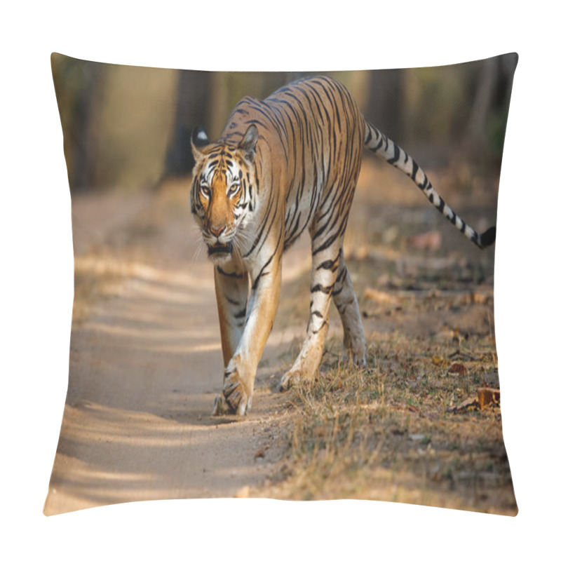 Personality  Tiger Female Walking In The Forest Of Kanha National Park In India Pillow Covers