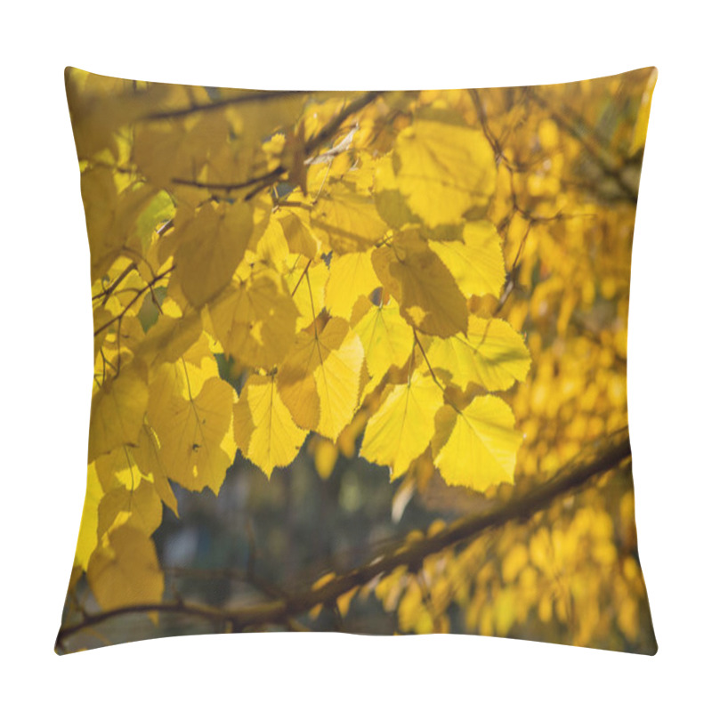 Personality  Sunlit, Vibrant Yellow Leaves Of A Deciduous Tree Create A Luminous Canopy, Capturing The Radiant Glow Of Autumn In A Peaceful Forest Setting. Pillow Covers