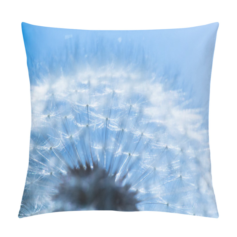 Personality  Close-up Of Dandelion, Blue Sky. Pillow Covers