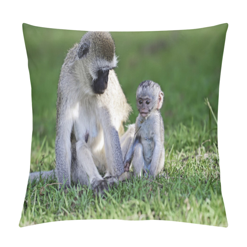 Personality  Vervet Monkey In The Savannah Pillow Covers