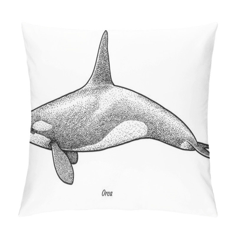 Personality  Killer Whale Illustration, Drawing, Engraving, Ink, Line Art, Vector Pillow Covers