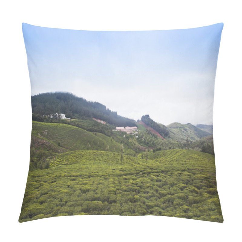 Personality  Tea Cultivation In The Valley Pillow Covers