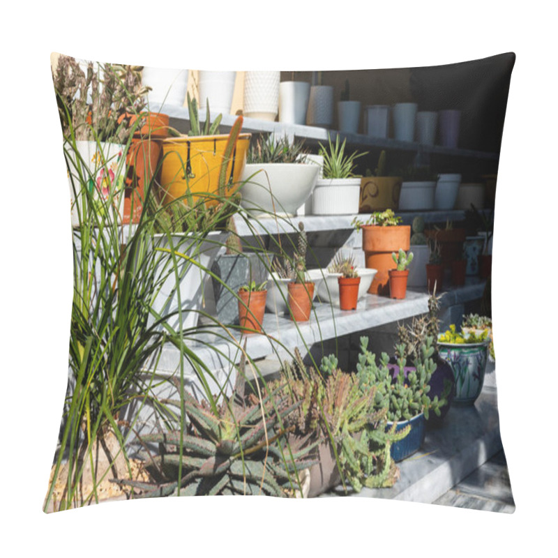 Personality  Close-Up Of Diverse Succulents And Cactus Pots On A Sunny Day Pillow Covers