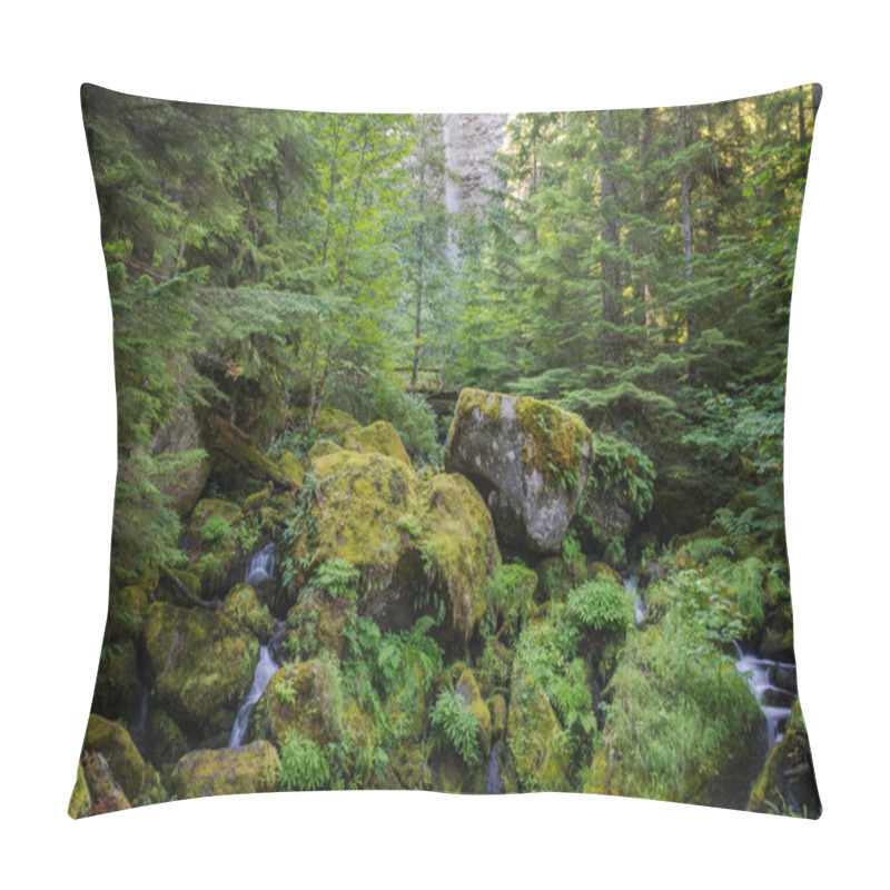 Personality  Watson Falls Trail, Umpqua, Oregon, USA Pillow Covers