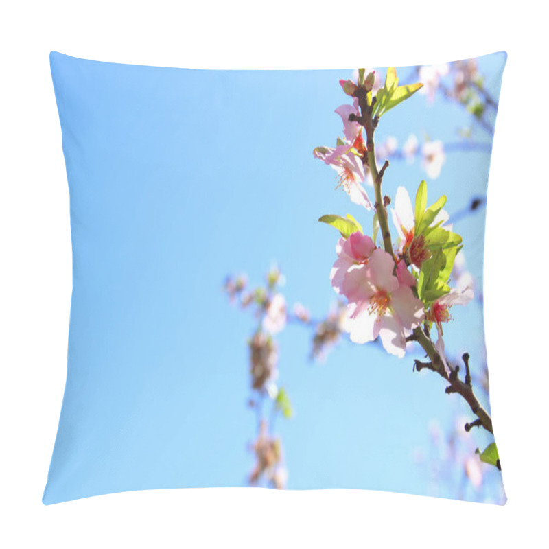 Personality  Background Of Spring White Cherry Blossoms Tree. Selective Focus. Pillow Covers