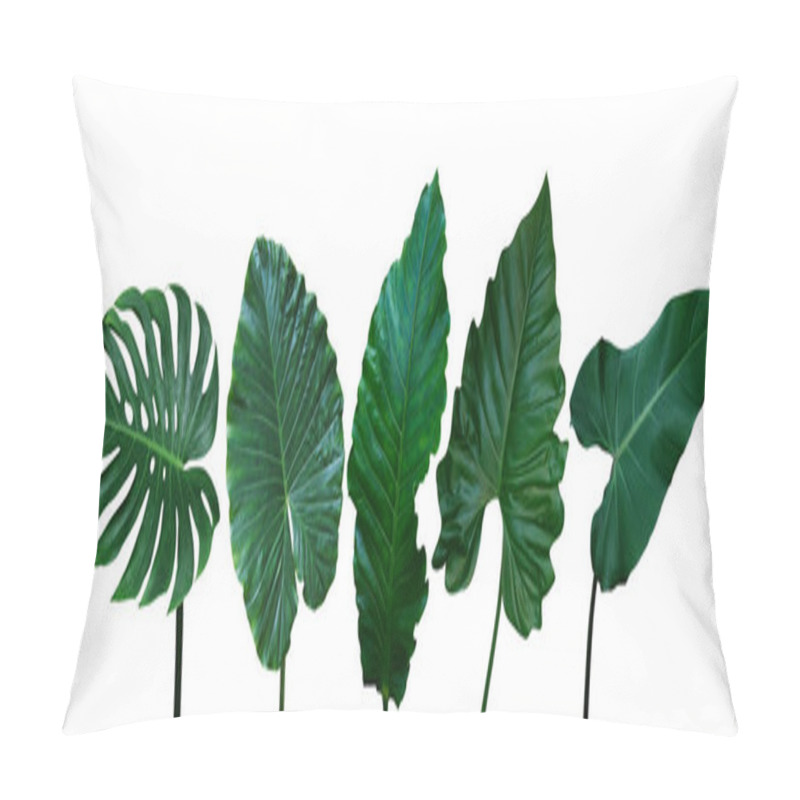 Personality  Tropical Leaves Set Isolated On White Background With Clipping Path, Green Leaves Of Monstera, Alocasia, Anthurium, And Philodendrons The Exotic Foliage Plants. Pillow Covers