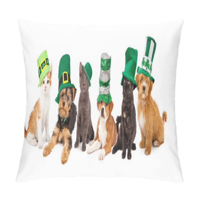 Personality  St Patricks Day Puppies And Kittens Pillow Covers