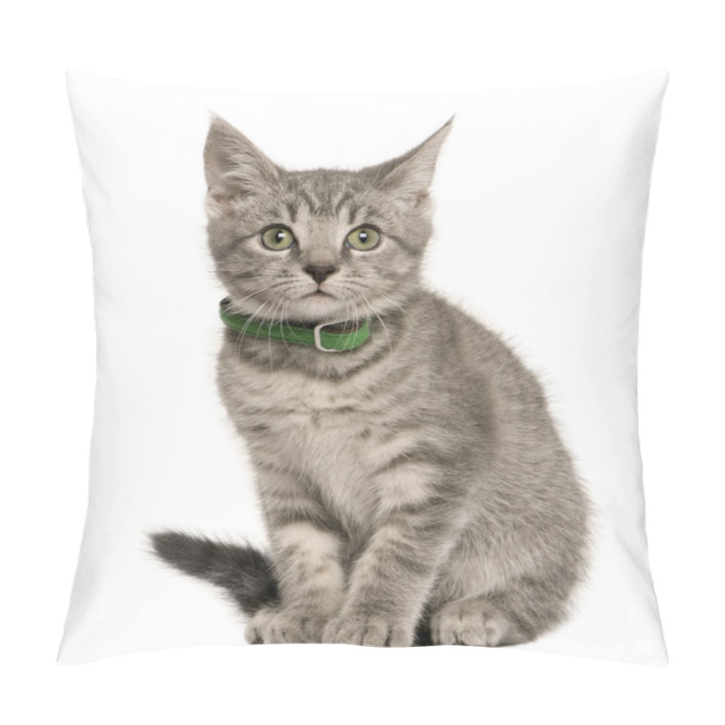 Personality  Kitten European Cat, 3 Months Old, Sitting In Front Of White Background Pillow Covers