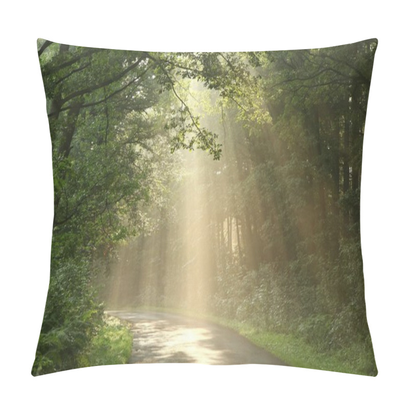 Personality  Deciduous Forest After The Rain Pillow Covers