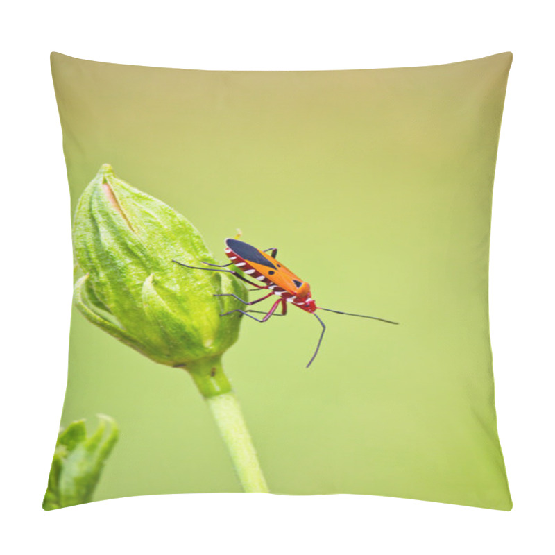 Personality  Close Up Of Red Bug Pillow Covers