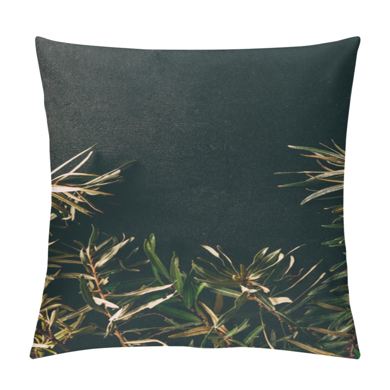 Personality  Flat Lay With Common Sea Buckthorn Branches Arranged On Black Background Pillow Covers