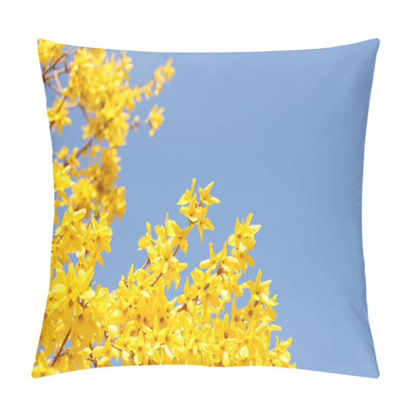 Personality  Yellow Flowers. Beautiful Forsythia Bush Bloom In Springtime Pillow Covers