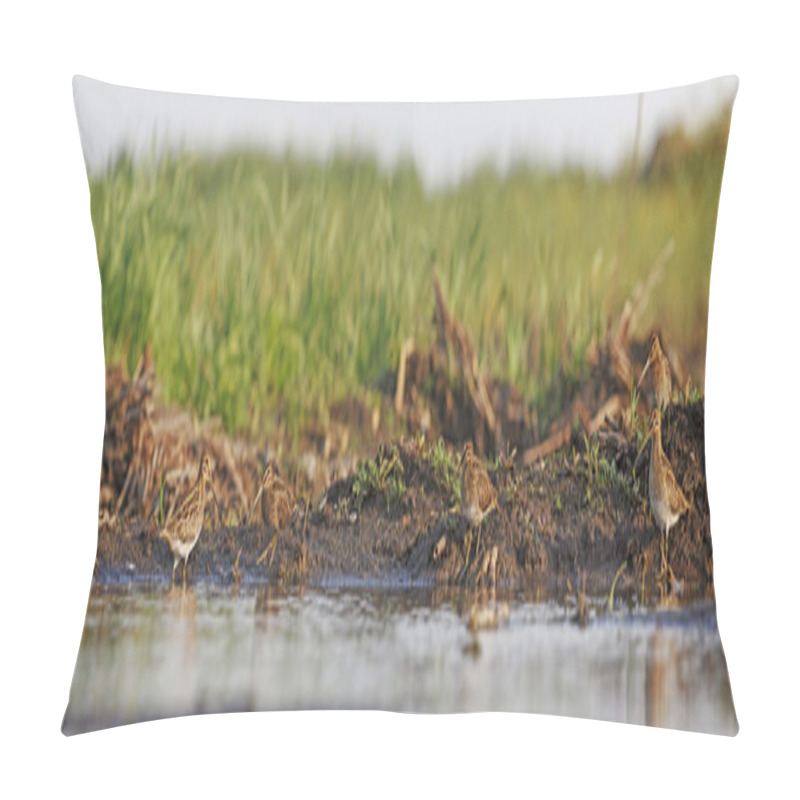 Personality  Flock Snipe On The Banks Of The Swamp Pillow Covers